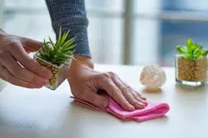 Cleaning Services