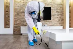 Pest Control
